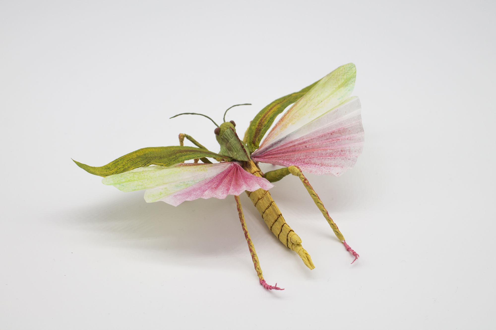Paper Insects - faltmanufaktur-Tina Kraus